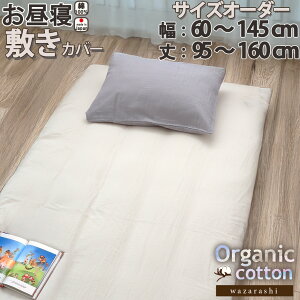 Q ~zcJo[ TCYI[_[ I[KjbNRbg _uK[[ 100% {  60 ~ 145 cm  95 ~ 150 cm ۈ牀 ct ~zcJo[ K[[