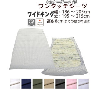 ^b`V[c  Te V[c ~zc Jo[ O܂ ChLO 100 tBbgV[c SS ^b`  TeXgCv ChLOO TCYI[_[Ή 