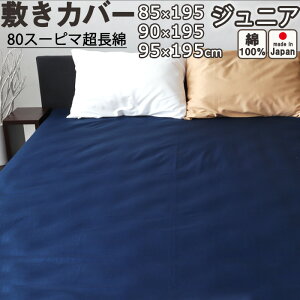 ~zcJo[ WjA  p 95×195 , 90×195 , 85×195 Z~VO ~Jo[ Te X[s} ƂƂ낯悤ȔG  y { LbY qp WjATCY z