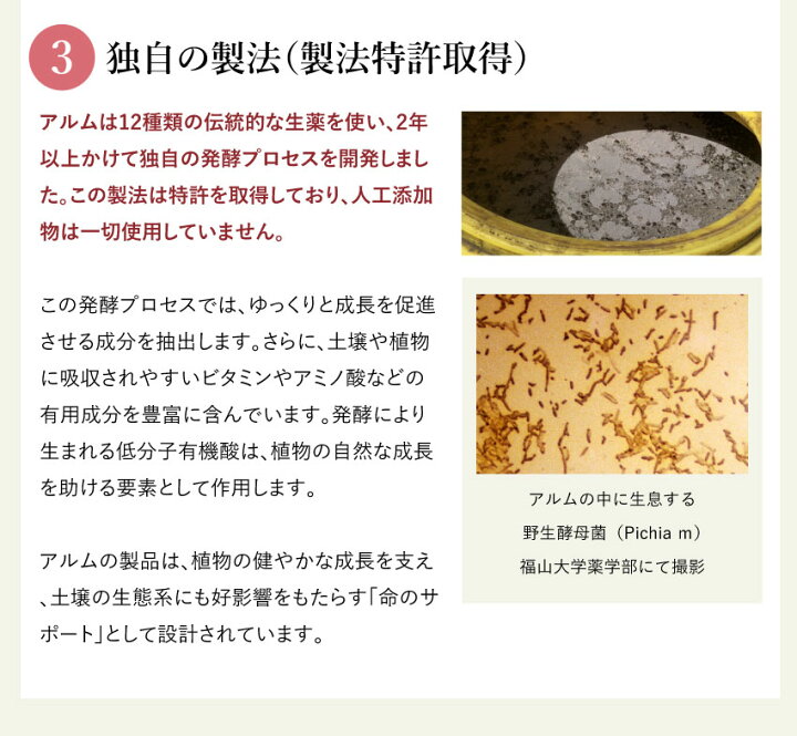 楽天市場】【楽天スーパーSALEクーポン発行中！】”ザ！鉄腕！DASH!!で 