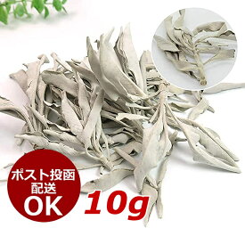 [最大100円OFFクーポン] ホワイトセージ 10g 浄化 無農薬 カリフォルニア産 オーガニックパワーストーン お香 アロマ White Sage