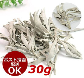 [最大100円OFFクーポン] ホワイトセージ 30g 浄化 無農薬 カリフォルニア産 オーガニックパワーストーン お香 アロマ White Sage