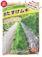 タキイ種苗 おたすけムギ 大麦 1kg 緑肥用 緑肥の種 雑草抑制 土壌流出防止 地温抑制 乾燥防止 土壌改良 …