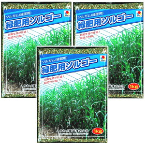 ^LCc \K Δp\S[ 1kg n͑i Δ̎ L@ qq iϗp앨 stׂ₷ 琬 Ϗ 200`280cm y