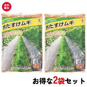 ^LCc M 唞 1kg×2܃Zbg Δp Δ̎ G} y뗬oh~ n} h~ y    rO}` y