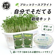 【楽天スーパーSALEクーポン発行中！】有機種子 ブロッコリースプラウト 栽培キット(容器1点+種2袋) スプ…