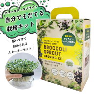 【楽天スーパーSALEクーポン発行中！】有機種子 ブロッコリースプラウト 栽培キット(容器1点+種2袋) ブラ…