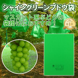 ΂Ԃǂ }XJbgn VCO[ uhE TCY 218×315mm 100 O[ VC}XJbg ʔFh~ Qh~ H { ʎ