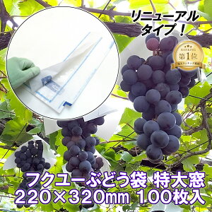 yX[p[SALEN[|sIzԂǂ 呋 220×320mm 100 Znt tʎ  ʎ  h h  }XJbgnɂ ͔| ʕی Ԃǂn