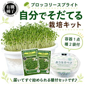 有機種子 ブロッコリースプラウト 栽培キット(容器1点+種2袋) スプラウト 豆苗 水耕栽培 野菜 育てる 栽培容器 おしゃれ グリーンインテリア 栽培セット 種 園芸 収穫 室内 スプラウト栽培 自由研究