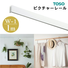 TOSO　ピクチャーレール　W−1工事用セット　1m　ホワイトトーソー　Wシリーズ用　1.0m