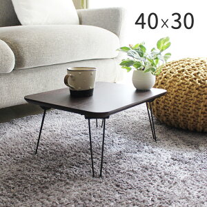 ܂肽݁@e[u 40×s30×19cm@tntb-omt30 [e[u@TChe[u@CeA@~je[u@Vv