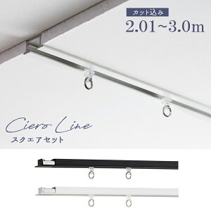 y[Jbg݁zJ[e[@TOSOyVGC XNGAZbg z y2.01`3.0m͈̔́iWCgdlj 1cmPʂŃJbgĂ͂z VO ciero lineV䖄ݐpJ[e