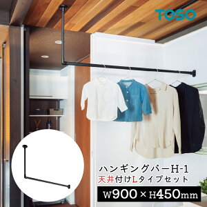 TOSO nMOo[ H-1yVt L^CvZbgzyTCYFW900×H450mmzg[\[ TOSO ݂艺 nK[o[ EH[o[ nK[pCv  fBXvC  h[ [ 