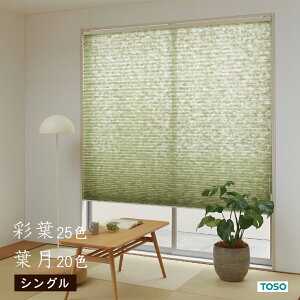 TOSO v[cXN[ ayʗtzytzyTCYF200.5cm`240cm×61`100cm͈̔́zyVOX^Czy`F[zg[\[ 25 a  