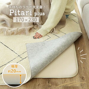 y~pO ^Cvzy170×230cm@3zO ~ O}bg J[ybg 􂦂 NbV E^ ~ ~߃O ` h_j h h}bg ׂ~ 