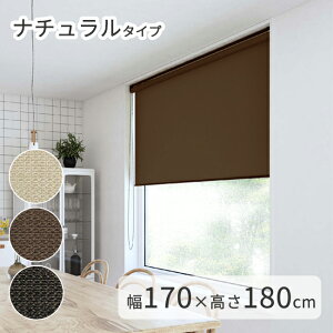 KiTCY i`f [XN[ TIORIOieBIIj y170×180cmz [ { Y  [J[e ډB  [ @H ^`JuChO[v 1Nۏ