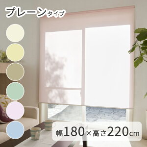 KiTCY ߐ[XN[ TIORIOieBIIj y180×220cmz [ { Y  [J[e ډB  [ ̌ @H ^`JuChO[v 1Nۏؕt