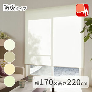 KiTCY h ߐ [XN[ TIORIOieBIIj y170×220cmz [ { Y  [J[e ډB  [ ̌ @H ^`JuChO[v 1Nۏ