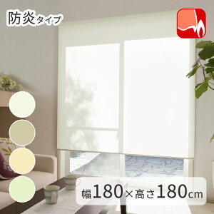 KiTCY h ߐ [XN[ TIORIOieBIIj y180×180cmz [ { Y  [J[e ډB  [ ̌ @H ^`JuChO[v 1Nۏ