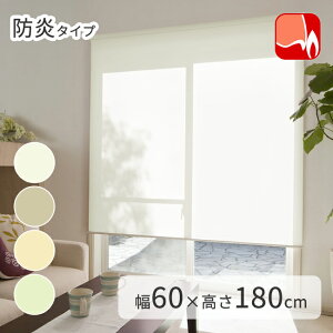 KiTCY h ߐ [XN[ TIORIOieBIIj y60×180cmz [ { Y  [J[e ډB  [ ̌ @H ^`JuChO[v 1Nۏ