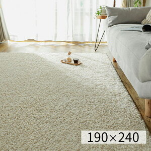 ₩VM[O y190×240cm 3ziC100i   R h_j h ` { hL  ӂӂ n I[V[Y rO g