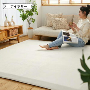 XΕt ɌӂӂE^Oyij130×190cm/190×190cm/190×240cmz ͂ h ׂ~ Vітoɂ zbgJ[ybg/gΉ zAfqh ӂӂ AC{[ 