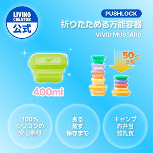 vbVbN 400ml rrbh}X^[hb VR ۑe u X[v ύ   dqWEI[uEⓀΉ