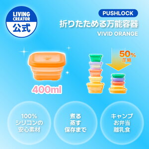 vbVbN 400ml rrbhIWb VR ۑe u  X[v ϕ dqWEI[uEⓀΉ