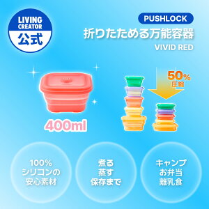 vbVbN 400ml rrbhbhb VR ۑe u  X[v  dqWEI[uEⓀΉ