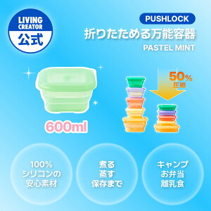 vbVbN 600ml pXe~gb VR ۑe   u  dqWEI[uEⓀΉ