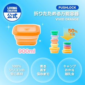 vbVbN 900ml rrbhIWb VR ۑe e u ύ X[v pX^  dqWEI[uEⓀΉ