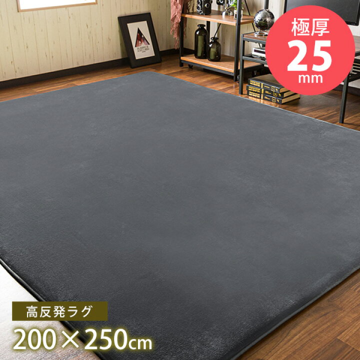 楽天市場】極厚！高反発 フランネルラグマット 200×250cm 約3畳 防ダニ 