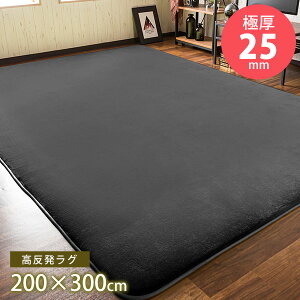 極厚!高反発 フランネルラグマット 200×300cm 200×250cm 185×185cm 130×185cm 90×140cm 60×200cm 約1〜4畳 防ダニ 抗菌防臭加工 安心 低ホルムアルデヒド で安心安全 滑り止め 縁取り ホットカーペット対