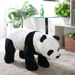 ʂ `FAXc[ LbY  IuWF Aj}`FA fR[V G CeA v[gpi ǂ v[g vC[ 킢 Aj} p_y