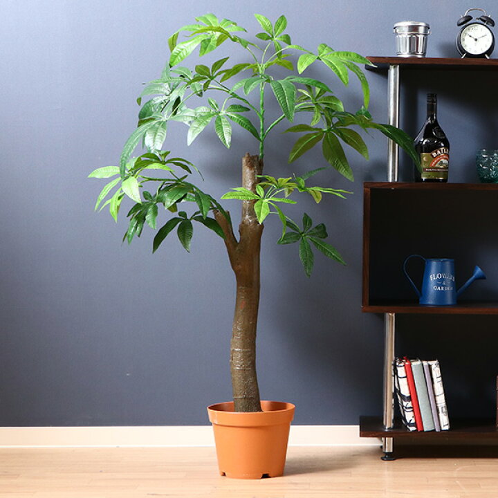 楽天市場 送料無料 観葉植物 フェイクグリーン グリーン 造花 植木 緑 インテリアガーデン インテリア 玄関 エントランス キッチン リビング 室内ガーデン ギフト プレゼント オブジェ 置物 インテリア雑貨 新生活 結婚祝い 新築祝い 鉢 パキラ 朴の木タイプ