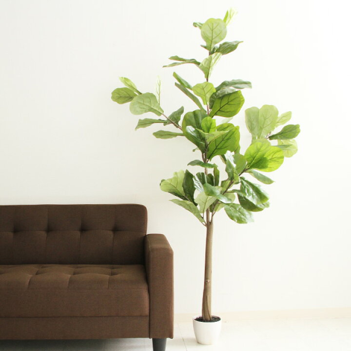 楽天市場 送料無料 観葉植物 フェイクグリーン グリーン 造花 植木 緑 インテリアガーデン インテリア 玄関 エントランス キッチン リビング 室内ガーデン ギフト プレゼント オブジェ 置物 インテリア雑貨 新生活 結婚祝い 新築祝い 鉢 フィカス カシワバゴム