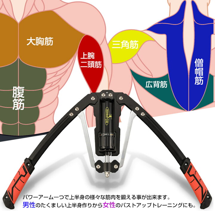 楽天市場】【在庫処分】【訳あり】【特価品】【送料無料】パワーアーム 