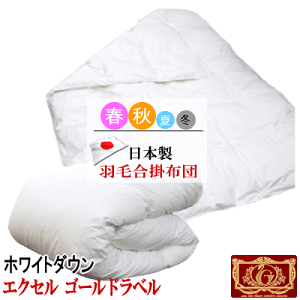 Hѕzc | | GNZS[hx { |ӂƂ tH~yP2zyMKz