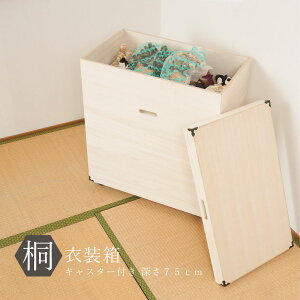 yzʎ[ł鍂80cm̒[^˃P[Xil`EړIj@Yi@iyP5zyMKz