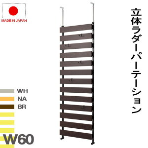 ˂藧̃{[_[bN 60 ʏ^Cv ՗ p[e[V { ˂ ςp[e[V _[bNyP5zyMKz