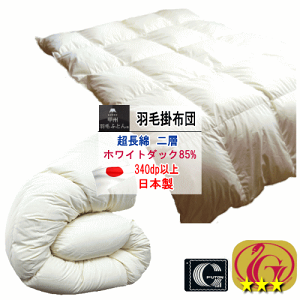 �H�ѕz�c �|���z�c �z���C�g�_�b�N 85% �_�E�� �j���[�S�[���h���x�� 340dp�ȏ� ��w�L���g ������ ��100% ���{���yP2�z�yMK�z