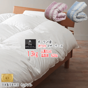 Hѕzc }U[O[X Z~_u |[hYzCg}U[O[X_E 2wLg w CS[hx 1.3kg 429dp {Hѕzc yMKzyP2z