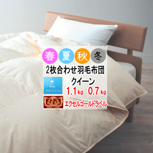 Hѕzc NC[ NB[ 2킹 zc |zc zCg_E GNZS[hx 360dpȏ yʐn I[V[Y {yP2zyMKz