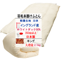 楽天市場】コストコ 布団（掛け布団｜寝具）：インテリア・寝具