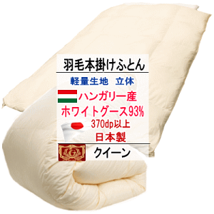 Hѕzc NC[ NB[ nK[YzCgO[X_E O[X GNZS[hx yʐn {yP2zyMKz