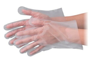 Gum@|G`܁@GuPAG{X@L@100@@ܓ@|O[u No.3001