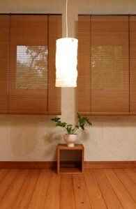 HAYATON�@�X���[�N�h�o���u�[�X�N���[���@88cm×135cm�@RC-1270S