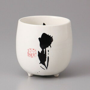 Z HOE~jJbv ݉OcJbv 6×7cm