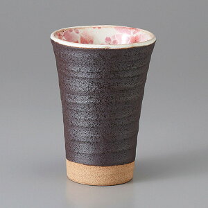 Z r[EĒEt[Jbv t[JbvisNj 8.5×11.8cm 270cc